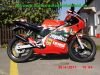 Derbi_GPR50_RR_Replica_2-Takt_Renn-Mokick_Rennmaschine_rot-schwarz_sehr_schnell_-_wie_GPR_125_Aprilia_RS_50_125_RS4-24.jpg