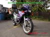 Suzuki_RG80_Gamma_NC11A_grau-lila_Light_Sprinter_Einzylinder_2-Takt_2-stroke_water-cooled__1a_Originalzustand_nur_9227km_–_Motor_Technik_wie_TS80X_SC11A-34.jpg