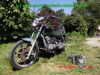 Kawasaki_VN750_Vulcan_V2-Chopper_erst_25tkm_65PS_vorverlegte_Fussrastenanlage_B1-210_Sissy-Bar_-3.jpg