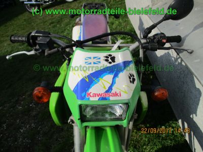 Kawasaki_KLX650C_Hard-Enduro_gruen_1Hd_33kW_EZ93_ausser_Betrieb_2006_USD-Gabel_grosser_Acerbis-Tank_Motor_-106.jpg