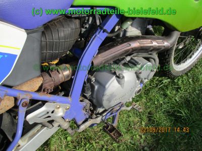 Kawasaki_KLX650C_Hard-Enduro_gruen_1Hd_33kW_EZ93_ausser_Betrieb_2006_USD-Gabel_grosser_Acerbis-Tank_Motor_-107.jpg