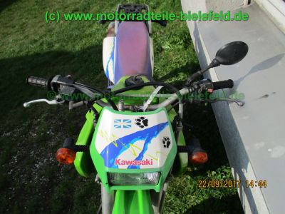 Kawasaki_KLX650C_Hard-Enduro_gruen_1Hd_33kW_EZ93_ausser_Betrieb_2006_USD-Gabel_grosser_Acerbis-Tank_Motor_-110.jpg