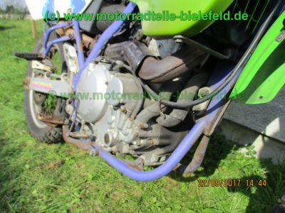 Kawasaki_KLX650C_Hard-Enduro_gruen_1Hd_33kW_EZ93_ausser_Betrieb_2006_USD-Gabel_grosser_Acerbis-Tank_Motor_-113.jpg