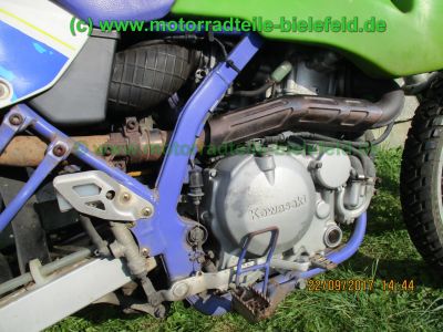 Kawasaki_KLX650C_Hard-Enduro_gruen_1Hd_33kW_EZ93_ausser_Betrieb_2006_USD-Gabel_grosser_Acerbis-Tank_Motor_-116.jpg