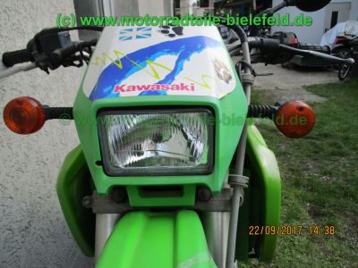 Kawasaki_KLX650C_Hard-Enduro_gruen_1Hd_33kW_EZ93_ausser_Betrieb_2006_USD-Gabel_grosser_Acerbis-Tank_Motor_-60.jpg