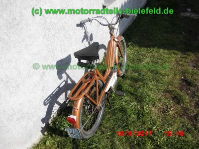 Motobecane_MOBY_50_M1_Motor_bronze_Oldtimer-Mofa_Moped_EZ1978_-25.jpg
