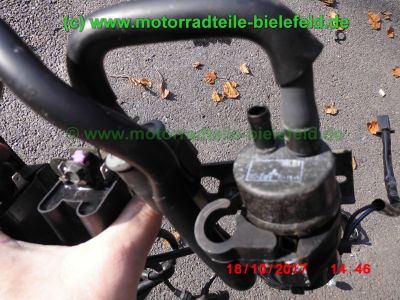Yamaha_FZS600_Fazer_RJ02_rot_zerlegt_-_Ersatzteile_Teile_parts_spares_spare-parts_ricambi_repuestos_wie_FZ1_FZ6_FZR600R_YZF600R-232.jpg
