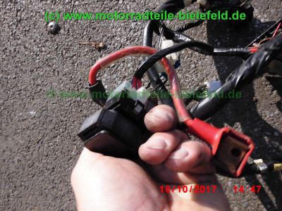 Yamaha_FZS600_Fazer_RJ02_rot_zerlegt_-_Ersatzteile_Teile_parts_spares_spare-parts_ricambi_repuestos_wie_FZ1_FZ6_FZR600R_YZF600R-240.jpg