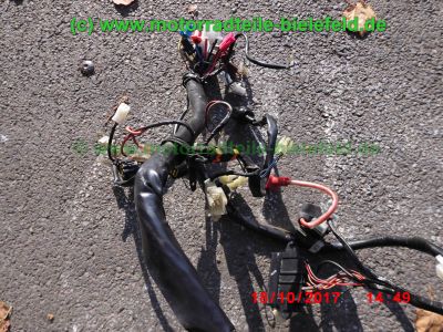 Yamaha_FZS600_Fazer_RJ02_rot_zerlegt_-_Ersatzteile_Teile_parts_spares_spare-parts_ricambi_repuestos_wie_FZ1_FZ6_FZR600R_YZF600R-254.jpg