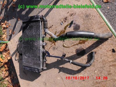 Yamaha_FZS600_Fazer_RJ02_rot_zerlegt_-_Ersatzteile_Teile_parts_spares_spare-parts_ricambi_repuestos_wie_FZ1_FZ6_FZR600R_YZF600R-50.jpg