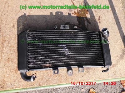 Yamaha_FZS600_Fazer_RJ02_rot_zerlegt_-_Ersatzteile_Teile_parts_spares_spare-parts_ricambi_repuestos_wie_FZ1_FZ6_FZR600R_YZF600R-55.jpg