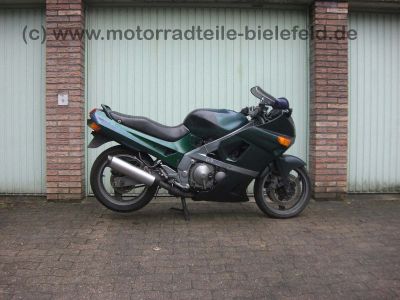Kawasaki_ZZR_ZZ-R_ZX_600_ZZR600_ZZ-R600_ZX600_A_C_D_E_F_G_600D_600E_ZZR600D_2.jpg