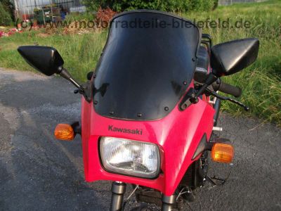 Kawasaki_GPZ900R_ZX900A_GPZ_ZX_900_750_R_A_900R_750R_Haensle_4in1_KVT_Rasten_Stahlflex_MRA_94_.jpg