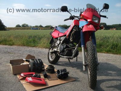 Kawasaki_KLR_650A_rot_Motor_teilzerlegt_KL_KLR_600_650_KLR600_KLR650_A_B_650A_650B_Tengai_600A_600B_2.jpg