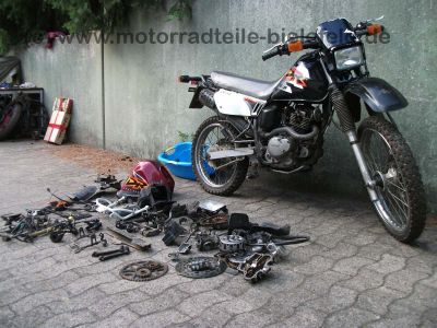 Suzuki_DR_125_SE_SF44A_grau_schwarz_EZ_2000_wie_DR_GN_GZ_125_DR125_GN125_GZ125_S_SE_125SE_125S_2.jpg