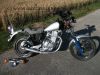 Suzuki_GN_400_GN400_silber_Ratte_Bobber_Chopper_wie_GN_DR_125_250_400_GN250_DR400_SP370_SP_370_5.jpg