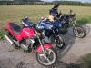 Kawasaki_KLE_500_KLE500_lila_teilzerlegt_wie_GPZ500_EX_KL_EN_ER_500_S_A_500A_3.jpg