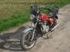 Filename=Suzuki_GS_450L_rot_Chopper_wie_GS_400_450_GS400_GS450_E_S_ST_L_T_G_116.jpg
Filesize=286KiB
Dimensions=1440x1080
Date added=Oct 07, 2010 Suzuki_GS_450L_rot_Chopper_wie_GS_400_450_GS400_GS450_E_S_ST_L_T_G_116.jpg