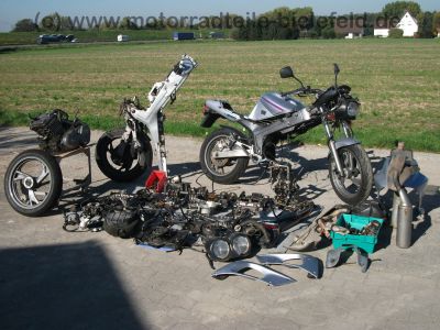 Yamaha_TDM_850_3VD_silber_teilzerlegt_Motor_Verkleidung_wie_XTZ_750_TRX_3LD_4TX_4UN_7.jpg