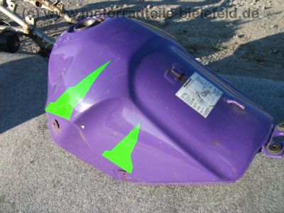 Kawasaki_KLR_650C_lila-gruen_Restteile_wie_KL_250_600_650_A_B_C_D_85.jpg