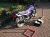 Honda_CBX_550_F_F2_PC04_lila_SEBRING_Auspuff_4_in_1_Anlasser_neu_wie_CBX_400_650_750_F_F2_E_6.jpg