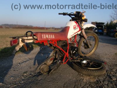 Yamaha_DT_50_MX_Typ_1NN_rot-weiss_-_wie_RD_DT_50_80_125_M_MX_13N_2M4_39.jpg