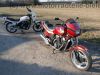 Honda_VT_500_E_rot_PC11_Kardanschaden_-_EZ_1987_50_PS_wie_VT_500_C_Custom_Shadow_PC08_14.jpg
