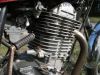Filename=Suzuki_GN_400_D_Chopper_rot_Einzylinder_Gepaecktraeger_wie_GN_DR_125_250_400_SP_370_LS_650_Savage_84.jpg
Filesize=232KiB
Dimensions=1440x1080
Date added=Mar 02, 2011 Suzuki_GN_400_D_Chopper_rot_Einzylinder_Gepaecktraeger_wie_GN_DR_125_250_400_SP_370_LS_650_Savage_84.jpg