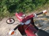 Simson_Schwalbe_weinrot_KR_51_-_1_K_Bj__1975_wie_Spatz_Star_Sperber_Habicht_20.jpg