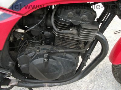 Kawasaki_GPZ_305_BD_rot_Tankbeulen_Belt_Drive_Twin_-_wie_KZ_Z_GPZ_CSR_250_305_400_440_A_B_C_D_LTD_59.jpg