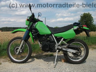 Kawasaki_KLR_250_gruen_Typ_KL_250_D_-_wie_KL_KLR_KLX_KMX_125_200_250_600_650_A_B_C_D_E_1.jpg