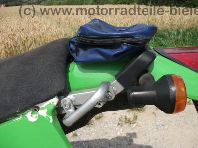 Kawasaki_KLR_250_gruen_Typ_KL_250_D_-_wie_KL_KLR_KLX_KMX_125_200_250_600_650_A_B_C_D_E_39.jpg