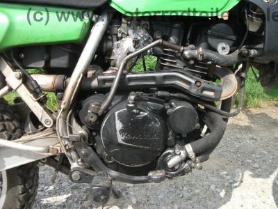 Kawasaki_KLR_250_gruen_Typ_KL_250_D_-_wie_KL_KLR_KLX_KMX_125_200_250_600_650_A_B_C_D_E_71.jpg