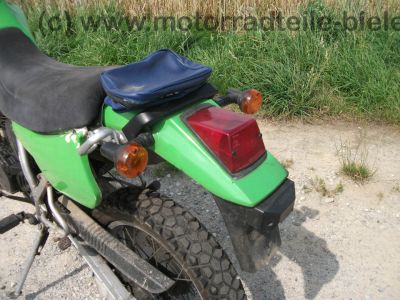 Kawasaki_KLR_250_gruen_Typ_KL_250_D_-_wie_KL_KLR_KLX_KMX_125_200_250_600_650_A_B_C_D_E_8.jpg