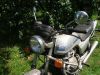 Honda_CB_250_N_silber_blau_TOP_ORIGINAL_Scheunenfund_-_wie_CMX_CM_CB_250_400_450_C_T_N_10.jpg