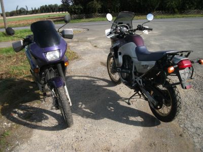 Honda_XL_600_V_Transalp_PD06_Sturzbuegel_Gepaecktraeger_hohe_Scheibe_-_wie_PD10_102.jpg