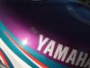Yamaha_FZR_600_R_4JH_lila-weiss_Sturz_-_wie_YZF_600_R_Thundercat_4VT_4WD_3HE_TDM_850_74.jpg