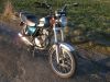 Suzuki_GN_125_SE_gruen_NF41A_-_wie_GN_DR_125_250_S_SE_SF43B_SF44A_VanVan_54.jpg