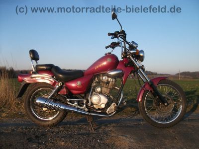 REX_Chopper_125_lila-rot_love_kills_-_wie_REX_Cruiser_Kreidler_Mustang_Kymco_ZING_SMC_SYM_Husky_125_46.jpg