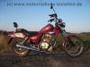 REX_Chopper_125_lila-rot_love_kills_-_wie_REX_Cruiser_Kreidler_Mustang_Kymco_ZING_SMC_SYM_Husky_125_46.jpg