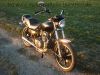 Filename=Kawasaki_KZ_440_A_LTD_Chopper_schwarz_Twin_vorverlegte_Fussrastenanlage_-_wie_KZ_Z_LTD_250_400_440_A_B_C_H_LTD_54.jpg
Filesize=313KiB
Dimensions=1440x1080
Date added=Feb 06, 2012 Kawasaki_KZ_440_A_LTD_Chopper_schwarz_Twin_vorverlegte_Fussrastenanlage_-_wie_KZ_Z_LTD_250_400_440_A_B_C_H_LTD_54.jpg
