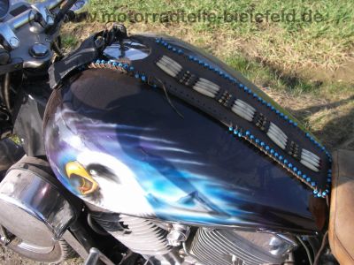 Kawasaki_VN-15_VN_1500_Vulcan_VNT50B_braun_Sissy-Bar_hohe_Scheibe_Zusatz-Scheinwerfer_Trittbretter_Airbrush_Leder_wie_VNT50A_32.jpg