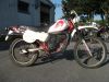 Honda_MTX_80_C_HD06_Enduro_Mokick_weiss-rot_-_wie_Honda_MT8_MB8_MT_MB_MBX_50_80_HD08_HD09_39.jpg