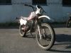 Honda_MTX_80_C_HD06_Enduro_Mokick_weiss-rot_-_wie_Honda_MT8_MB8_MT_MB_MBX_50_80_HD08_HD09_40.jpg