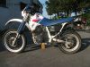 Honda_XL_600_RM_Enduro_PD04_RFVC_BSM_Auspuff_25kW_o__33kW_-_wie_XR_XL_250_R_MD11_ME06_XL_350_R_ND03_XR_XL_600_LM_R_PD03_PE04_9.jpg