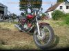 Kawasaki_BN_125_A_Eliminator_rot_-_Chopper_wie_EL_125_250_252_ZL_600_A_B_15.jpg