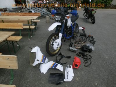 Honda_NX_650_Dominator_RD02_weiss_Hauptstaender_GIVI_Koffer-Traeger_-_wie_XR_SLR_FMX_650_RD06_RD08_RD09_Vigor_72.jpg