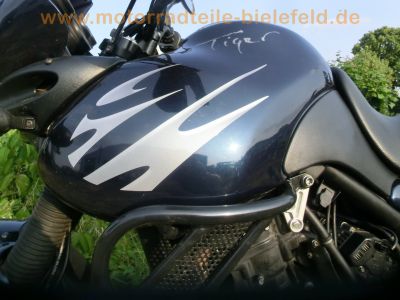 Triumph_Tiger_885i_T709_Enduro_blau_1__Hd__Sturzbuegel_-_wie_Trident_Daytona_Speed_Triple_900_955i_T300_T400_61.jpg