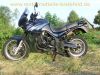 Triumph_Tiger_885i_T709_Enduro_blau_1__Hd__Sturzbuegel_-_wie_Trident_Daytona_Speed_Triple_900_955i_T300_T400_47.jpg