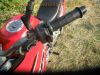 Yamaha_TDR_125_Fun-Duro_5AN_rot_-_wie_TZR_125_4FL_3XE_3SH_51.jpg